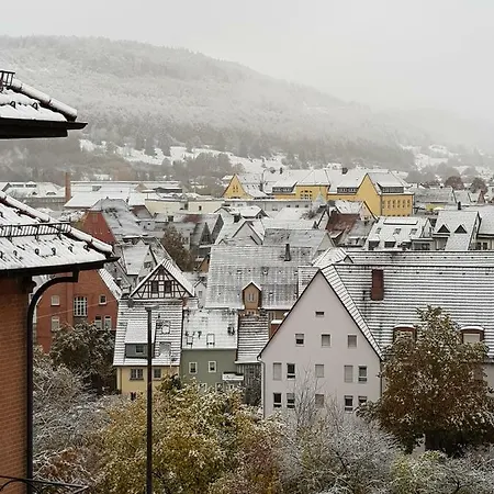Ferienwohnungen Albstadt Daire *