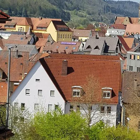 Ferienwohnungen Albstadt 阿尔伯斯塔特