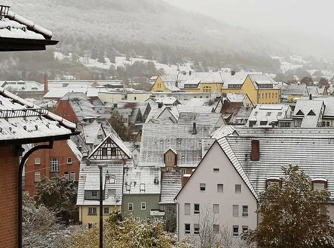 Ferienwohnungen Albstadt Daire *